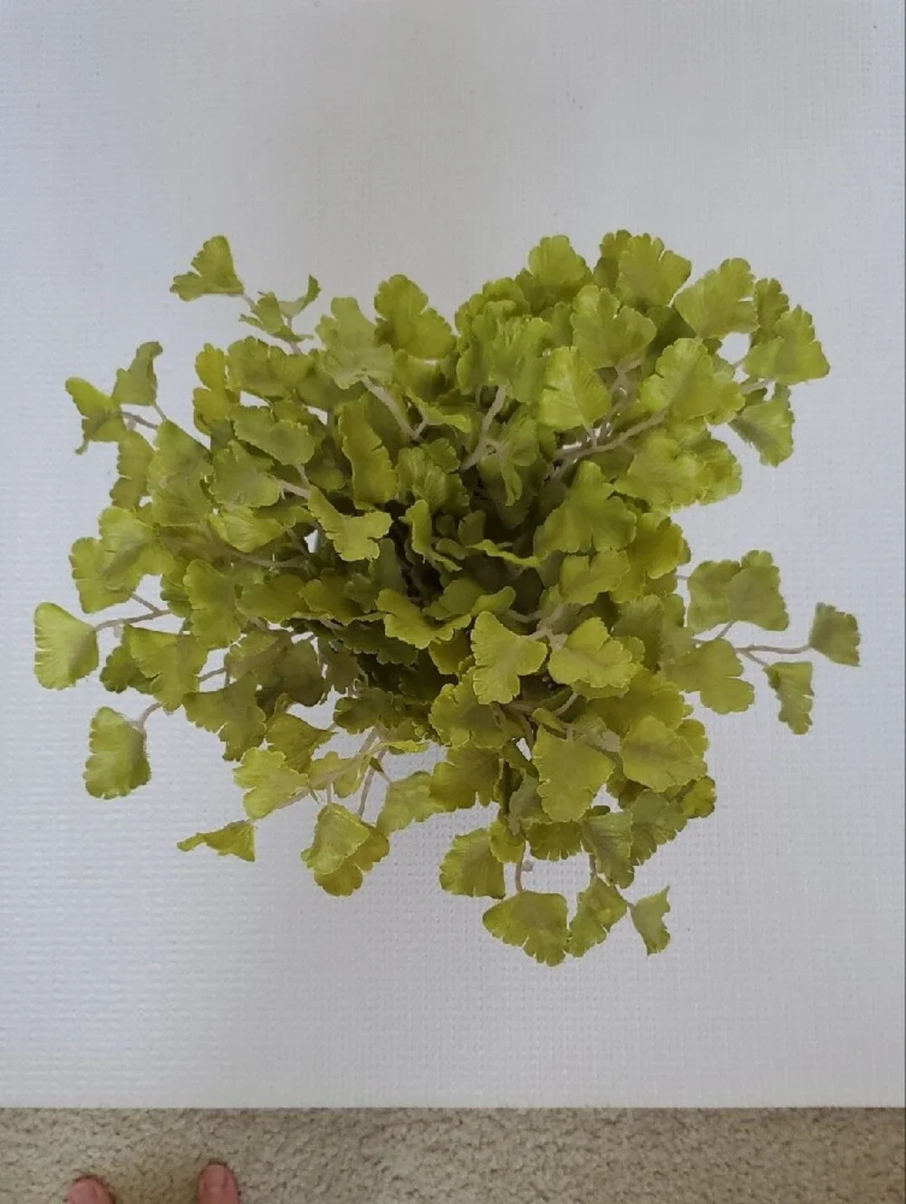 Artificial Gingko Plant in Pot - Home Accents Set of 2